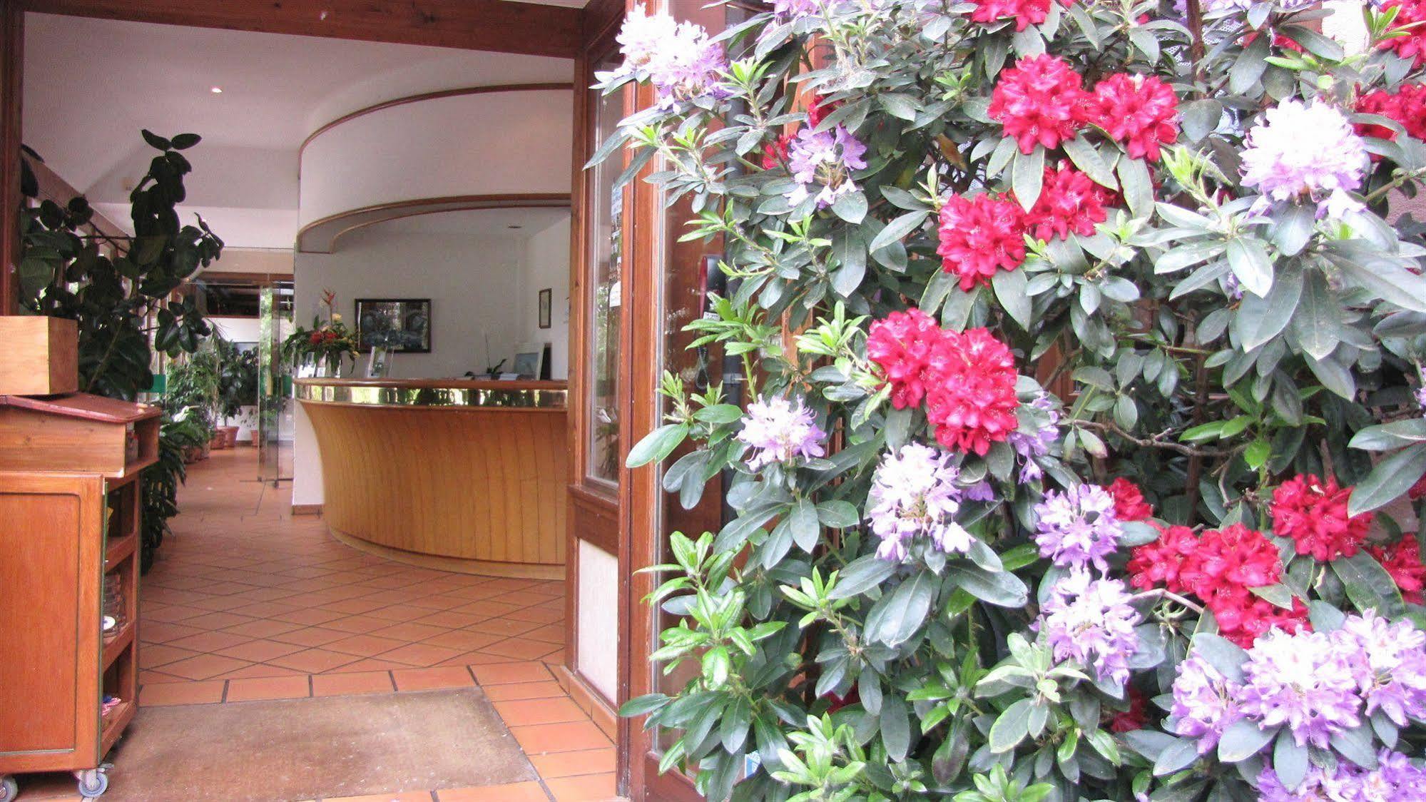 Hotel Le Caballin Vogelgrun Exterior foto